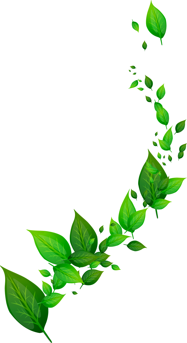 rosemary photo