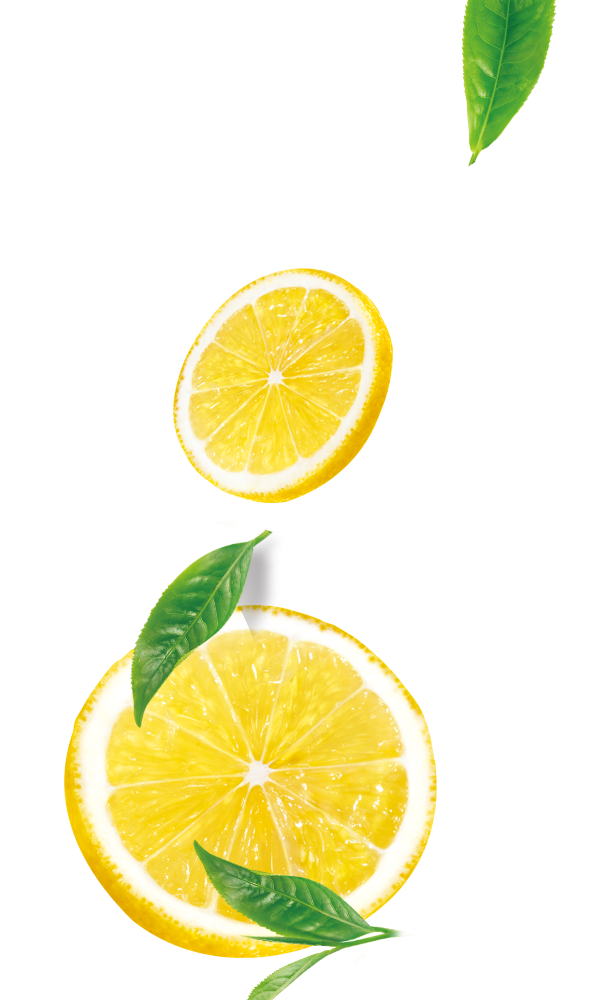 orange slice photo